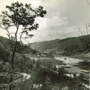 Vardy Voice Subscription